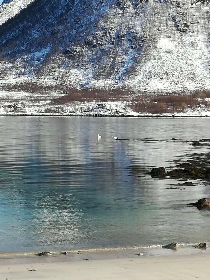 Midnattsolveien 3158,Sommarhusstrand Laukvik Lofoten Norway ภายนอก รูปภาพ