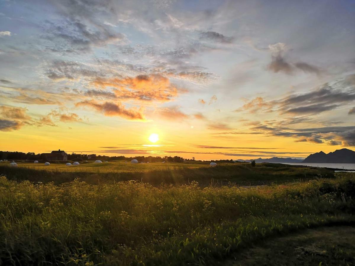 Midnattsolveien 3158,Sommarhusstrand Laukvik Lofoten Norway ภายนอก รูปภาพ